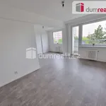 Rent 2 bedroom apartment of 61 m² in Kralupy nad Vltavou