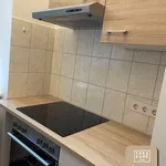 Miete 2 Schlafzimmer wohnung von 45 m² in Vienna