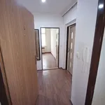 Rent 2 bedroom apartment in  Žižkov                        					