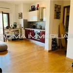 Rent 1 bedroom apartment of 60 m² in Rome