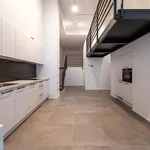 Rent 2 bedroom apartment of 143 m² in Brussels