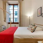 Rent 1 bedroom apartment in florence