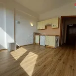 Pronajměte si 1 ložnic/e byt o rozloze 20 m² v Prague