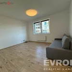 Rent 1 bedroom apartment of 30 m² in Plzeň 4