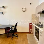 Rent 1 bedroom apartment of 45 m² in Segrate