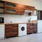 Rent 1 bedroom apartment of 50 m² in Prague