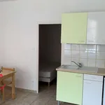 Rent 2 bedroom apartment of 28 m² in Roanne