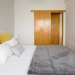 Rent 1 bedroom apartment in Lisbon