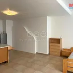 Rent 1 bedroom apartment in Pardubice