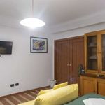 Rent 1 bedroom apartment of 65 m² in Roma