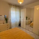 Rent 3 bedroom apartment of 75 m² in Alessandria