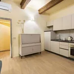 Rent 1 bedroom apartment of 50 m² in florence