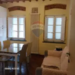 Rent 6 bedroom apartment of 130 m² in Lucca