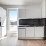 Rent 4 bedroom apartment of 129 m² in Prague