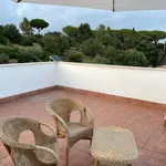 Rent 4 bedroom house of 120 m² in Roma