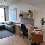 Rent 1 bedroom apartment in porto