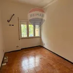 Rent 4 bedroom apartment of 111 m² in Palermo