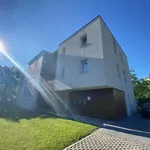 Rent 1 bedroom apartment of 55 m² in Graz