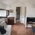 Rent 4 bedroom apartment of 85 m² in Massa