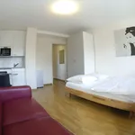 Rent 1 bedroom apartment of 30 m² in Zürich