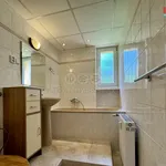 Rent 1 bedroom apartment in Ústí nad Labem