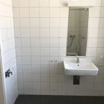 Miete 2 Schlafzimmer wohnung von 80 m² in 36, 59821 Arnsberg–Eichholz