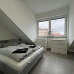 Miete 2 Schlafzimmer wohnung von 50 m² in Karlsruhe