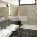 Rent 4 bedroom apartment of 120 m² in Prague