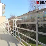 Rent 1 bedroom apartment of 15 m² in Brno