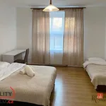 Rent 1 bedroom apartment in Hradec Králové