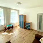 Rent 4 bedroom apartment of 96 m² in dalovice