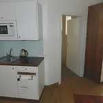 Rent 1 bedroom apartment in Brno