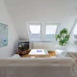 Rent 3 bedroom apartment of 81 m² in Berlin