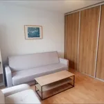 Rent 1 bedroom apartment of 34 m² in Poznań