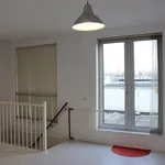 Rent 6 bedroom house of 220 m² in Waterbuurt