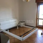 Rent 5 bedroom house of 170 m² in Potenza