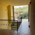 Rent 3 bedroom apartment of 60 m² in Perugia