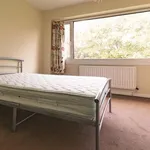 Rent 2 bedroom house in East Midlands