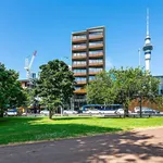 Rent 1 bedroom apartment in Auckland