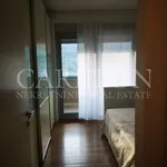Najam 3 spavaće sobe stan od 156 m² u Zagreb