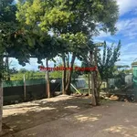 Villa Bifamiliare in affitto a Velletri via dei Fienili, non arredato/vuoto, giardino privato, posto auto - TrovaCasa