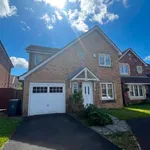 Rent 4 bedroom house in North Tyneside