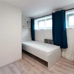 Rent 1 bedroom apartment in Brno