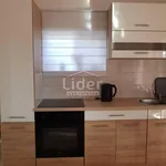 Najam 3 spavaće sobe stan od 85 m² u Grad Rijeka