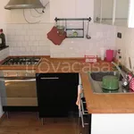 Rent 2 bedroom apartment of 55 m² in Genova