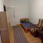 Rent 2 bedroom apartment of 50 m² in budapest