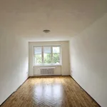 Pronájem bytu 2+1 51m²