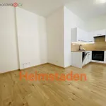 Rent 3 bedroom apartment of 46 m² in Ostrava