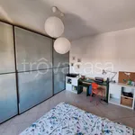 Rent 2 bedroom apartment of 50 m² in Milano