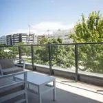 Rent 1 bedroom apartment of 33 m² in madrid